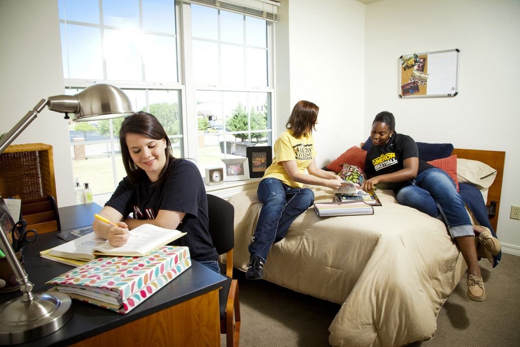 Dorm Daze or Dream Abode Navigating On-Campus Housing in the USA